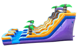 image204 1765571419 18' Double Lane Tropical Rush Waterslide