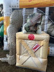 IMG 5587 1760550479 Dino Stomp Dual Lane Combo